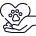 Cirurgias Icon